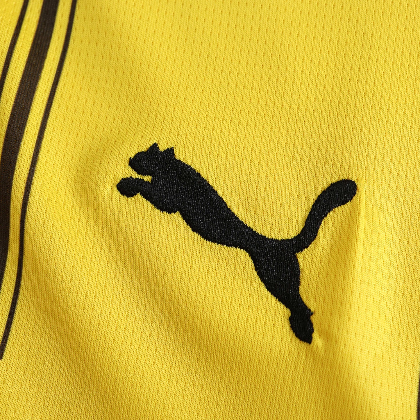 Borussia Dortmund - Heimtrikot 2024/25