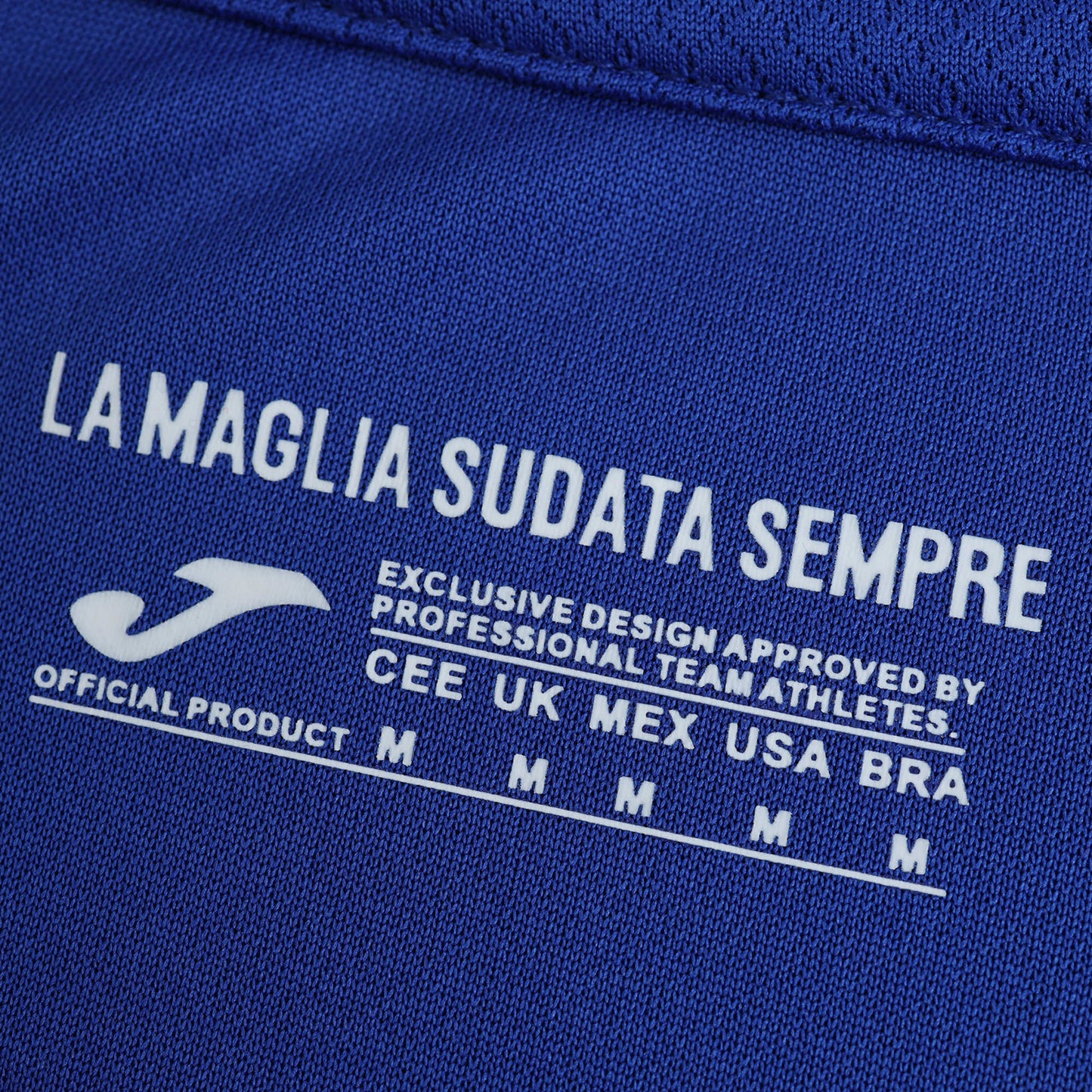 TSG 1899 Hoffenheim - Heimtrikot 2024/25