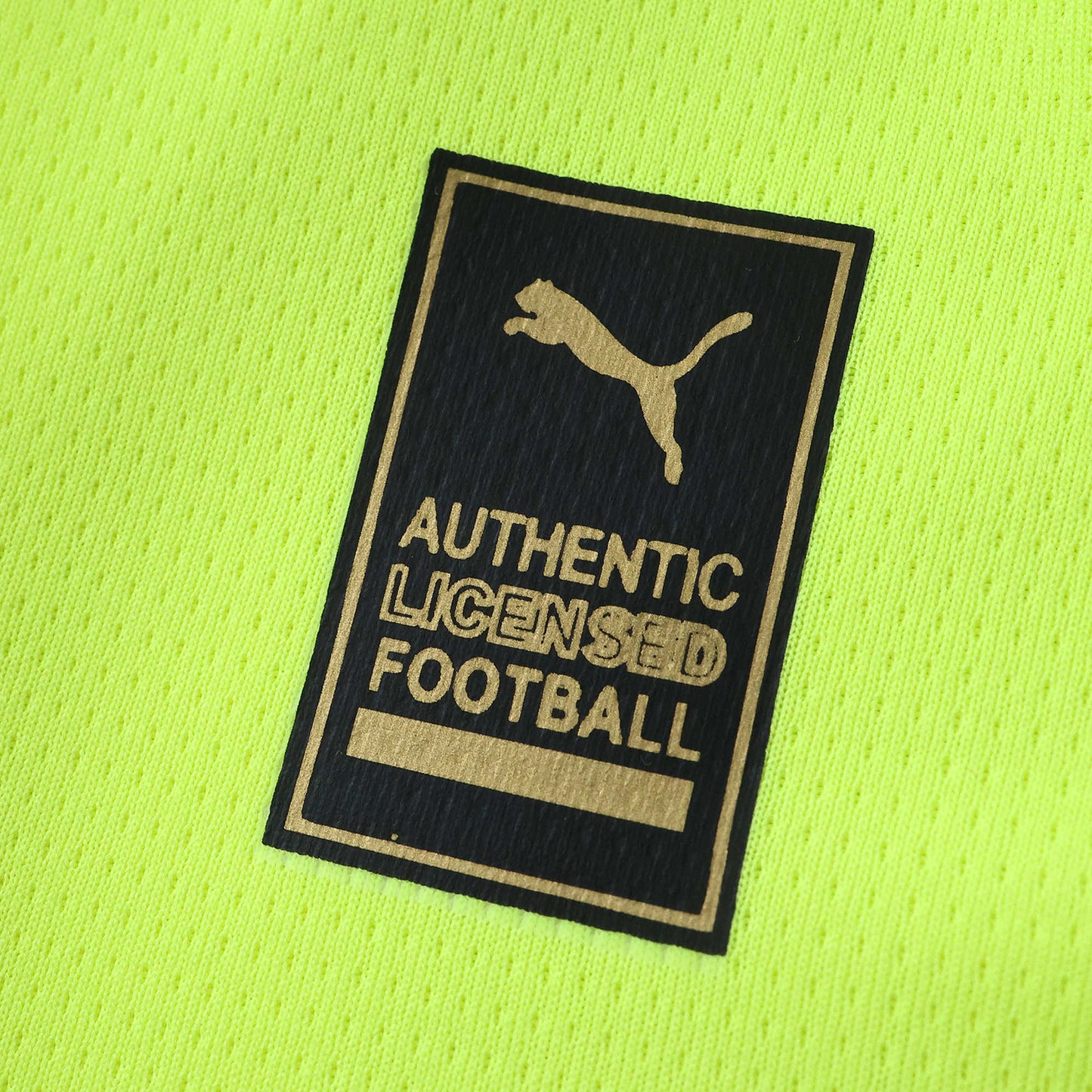 Borussia Dortmund - Sondertrikot 2024/25