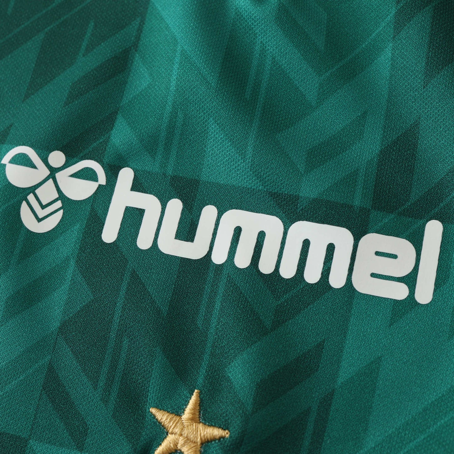 SV Werder Bremen - Heimtrikot 2024/25