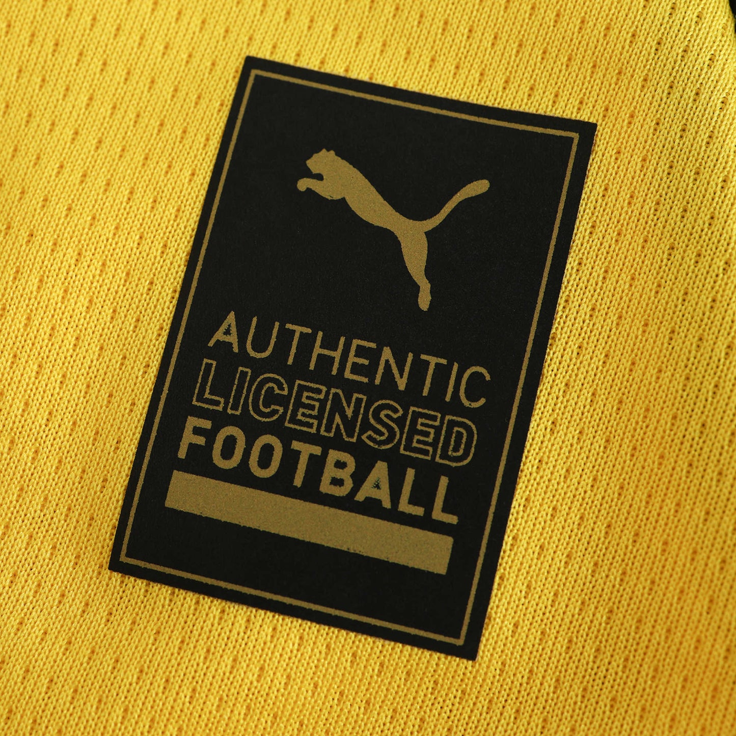 Fenerbahçe SK - Heimtrikot 2024/25