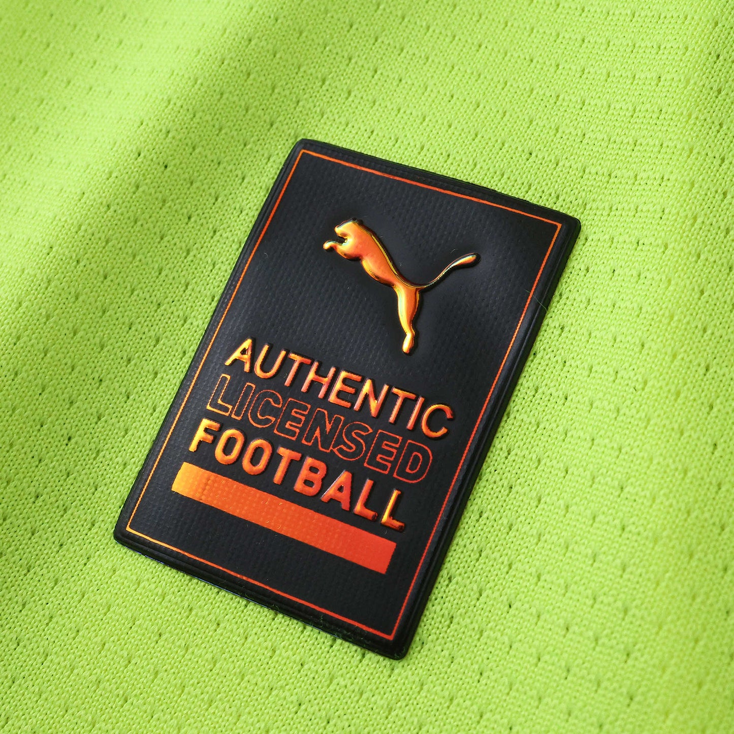 Borussia Dortmund - Authentic Sondertrikot 2024/25