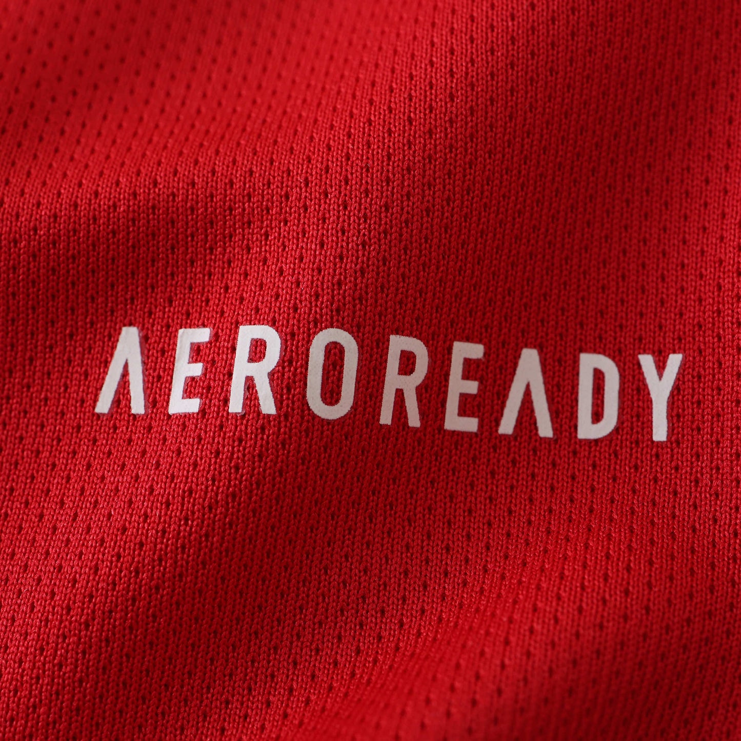 Ajax Amsterdam - Heimtrikot 2024/25