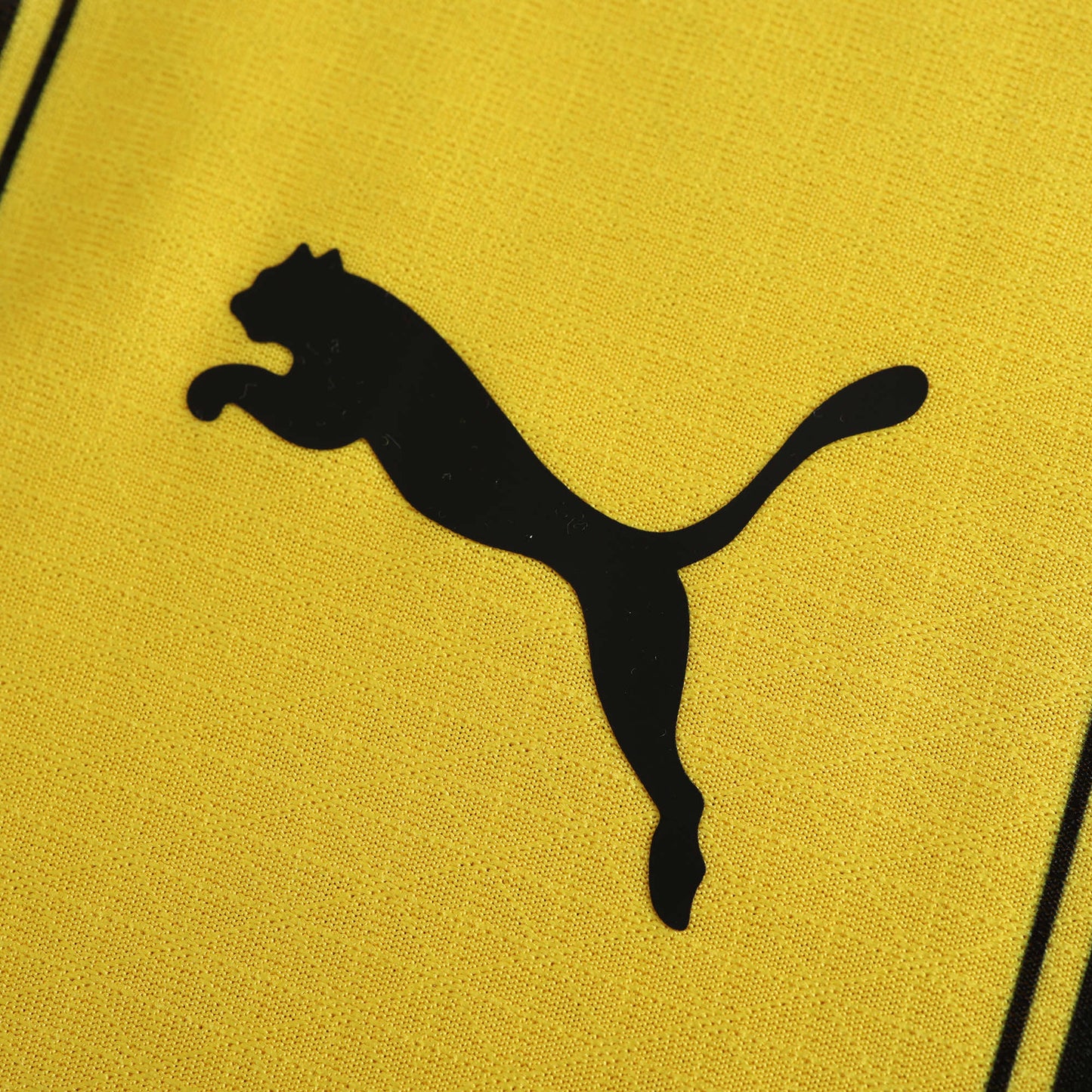 Borussia Dortmund - Authentic Heimtrikot 2024/25