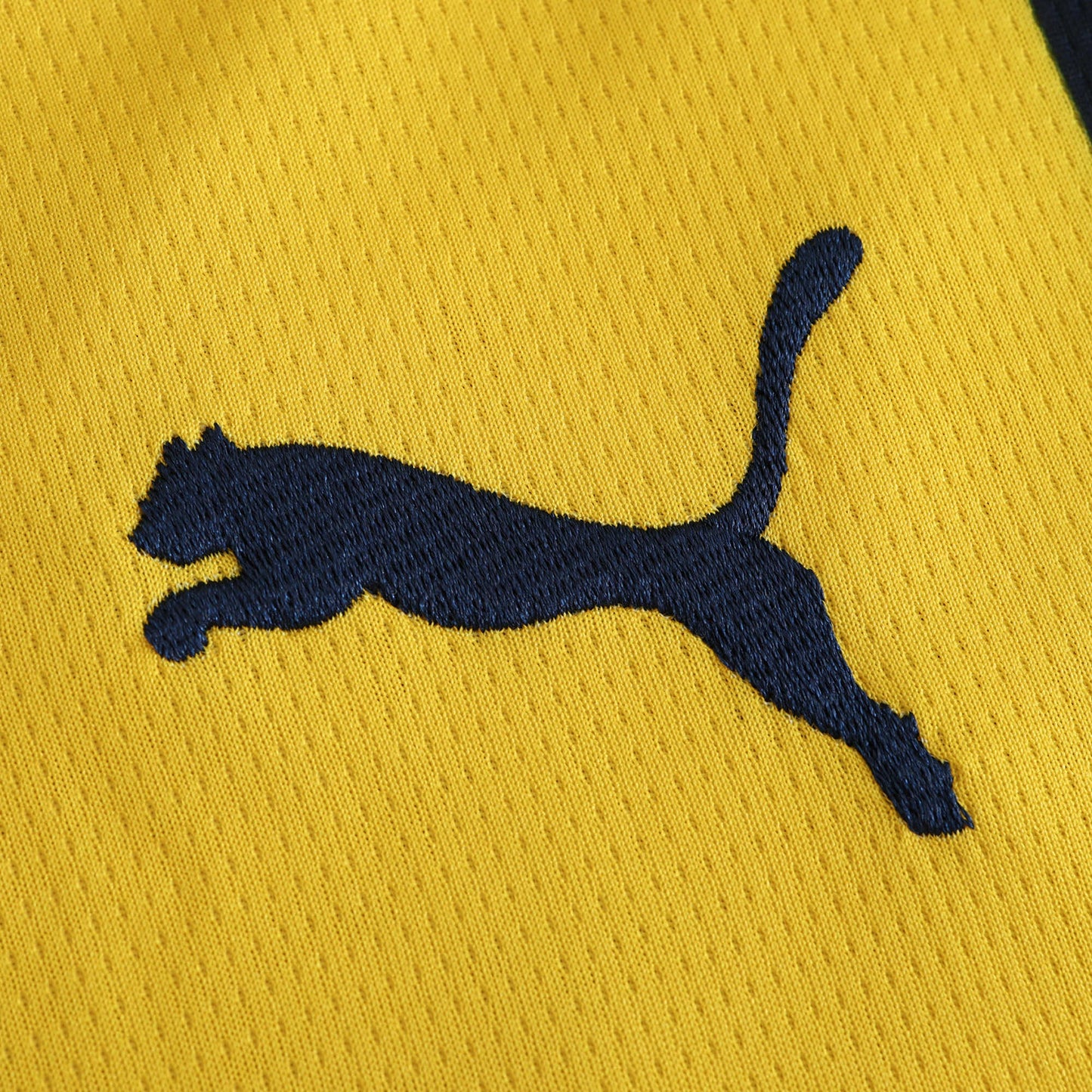 Fenerbahçe SK - Heimtrikot 2024/25