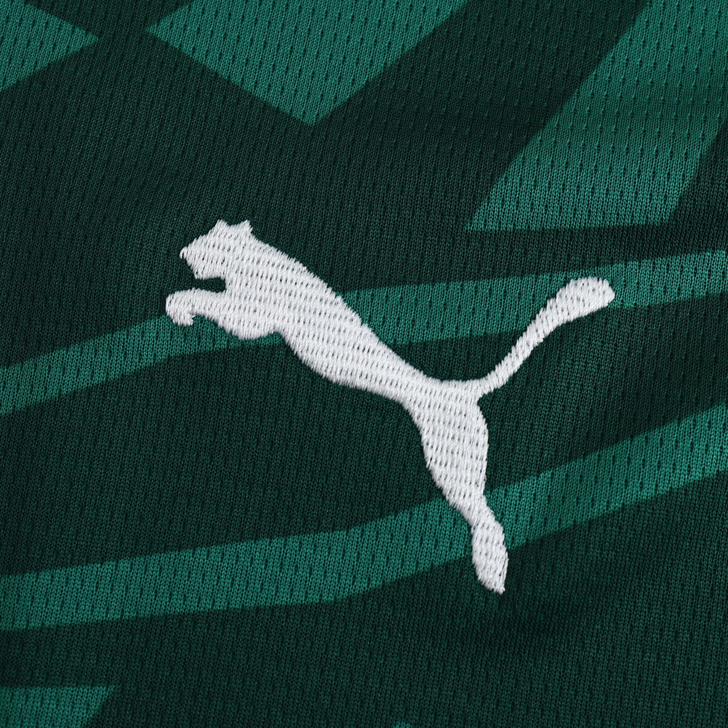 Borussia Mönchengladbach - Auswärtstrikot 2024/25