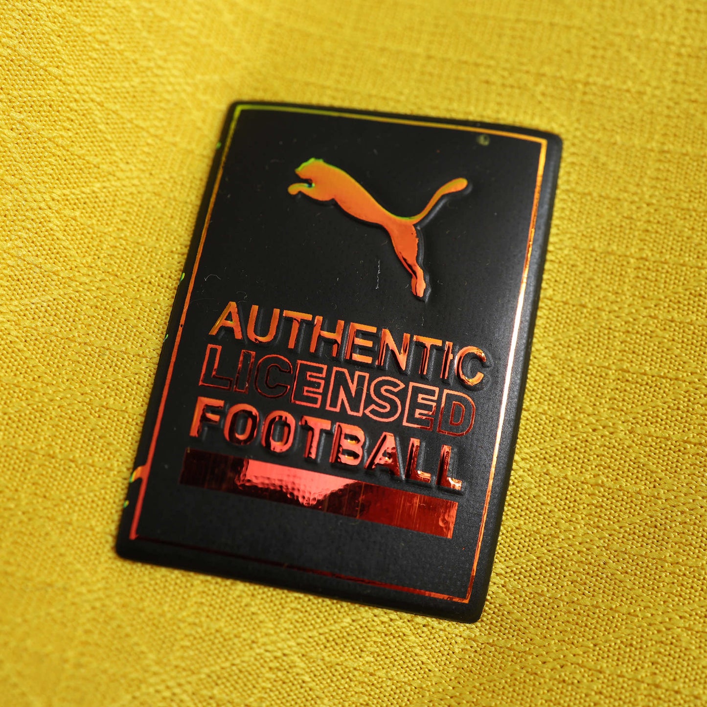 Borussia Dortmund - Authentic Heimtrikot 2024/25