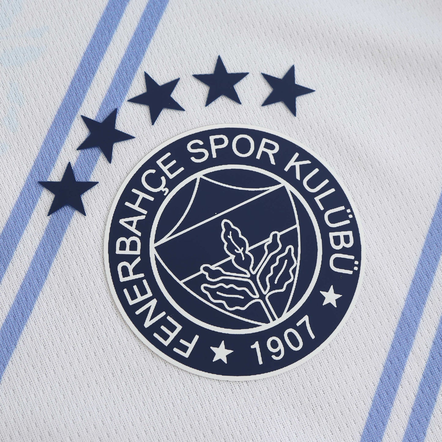Fenerbahçe SK - Auswärtstrikot 2024/25