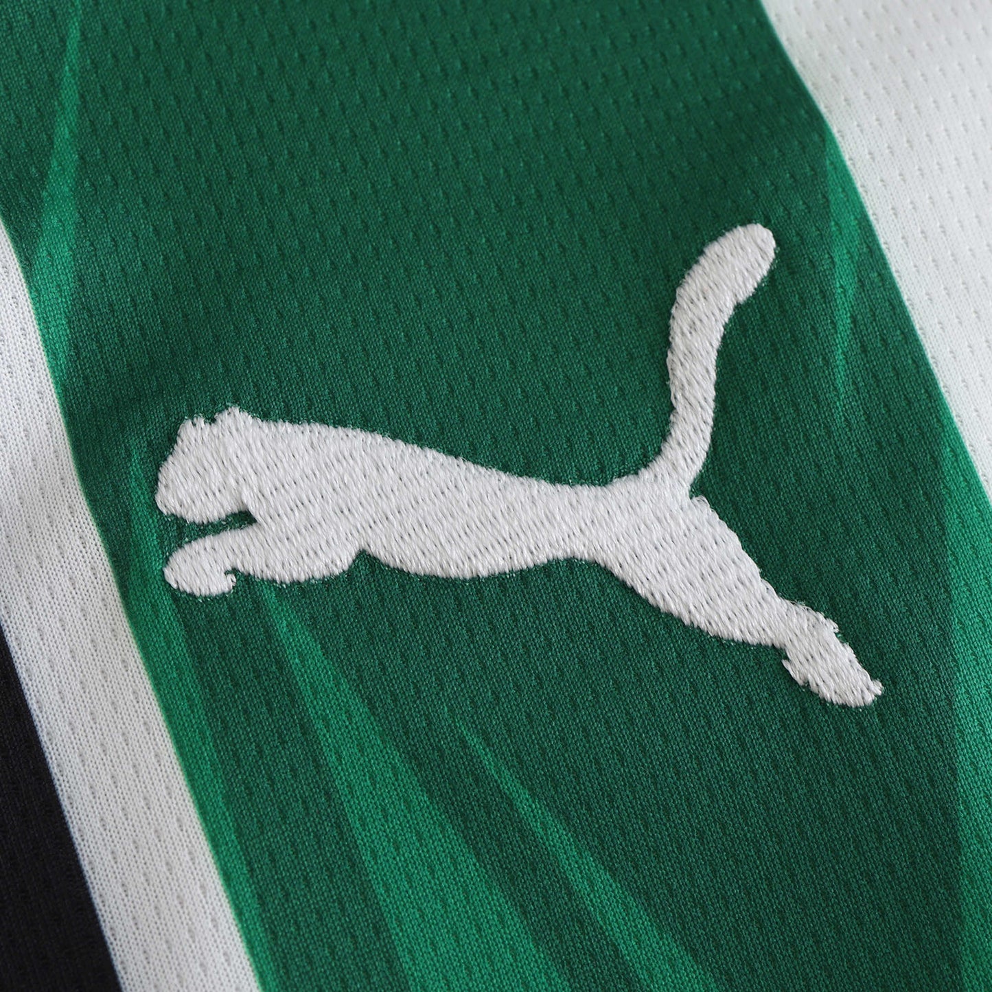 Borussia Mönchengladbach - Heimtrikot 2024/25