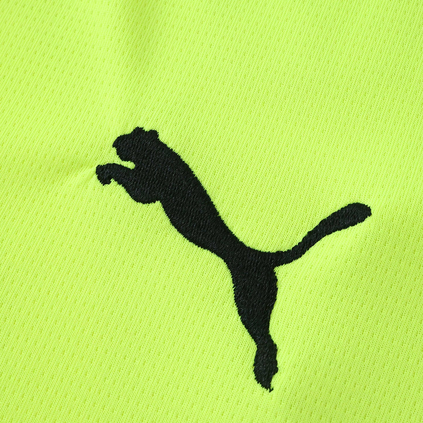 Borussia Dortmund - Sondertrikot 2024/25